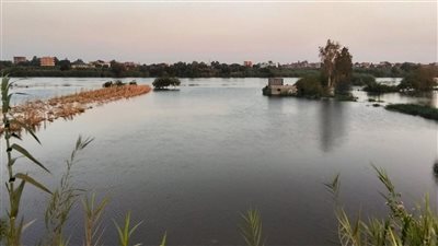 استغاثة مزارعي طرح النهر بعد غرق أراضيهم بسبب فيضان النيل بالمنوفية: خسرنا المحصول والإيجار