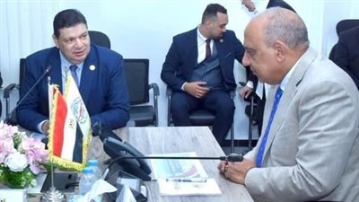 بترشيح وزير الكهرباء.. أمجد الوكيل عضوًا بمجلس الجهاز التنفيذي لمشروعات المحطات النووية