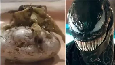 بعد مزاعم سقوط نيزك في بنما| ظهور مخلوق غريب.. والجمهور يشبهه بـ فينوم