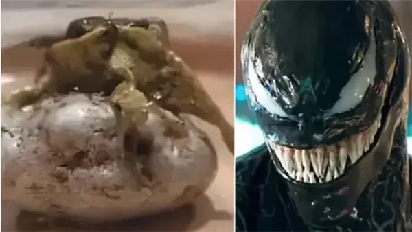 ظهور مخلوق غريب في