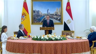 السيسي: اعتراف إسبانيا بفلسطين موقف تاريخي يحظى بتقدير رسمي وشعبي في مصر | فيديو