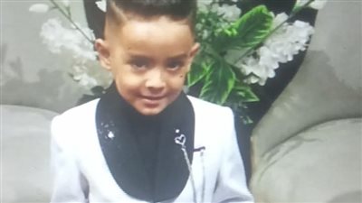 مأساة في قليوب.. مصرع طفل 3 سنوات هاجمه كلب ضال بـ ميت حلفا 