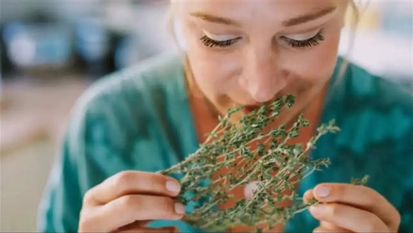 نبات إكليل الجبل