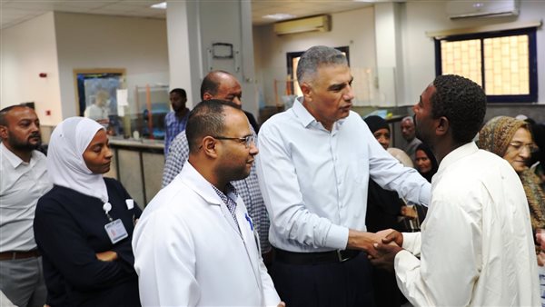 محافظ أسوان