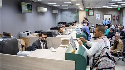 المركزي: ارتفاع عدد العاملين بأكبر 5 بنوك في مصر إلى 71.5 ألف موظف بنهاية يونيو 2025