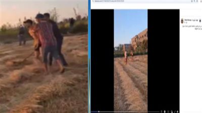 القبض على مزارع ونجله بالدقهلية بعد مشاجرة بسبب خلافات الجيرة