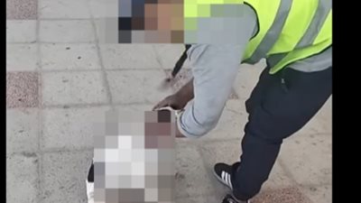 فيديو لعامل بمحطة بنزين يعتدي على كلب يثير غضب مواقع التواصل.. ويرد: مش فارق معايا حاجة