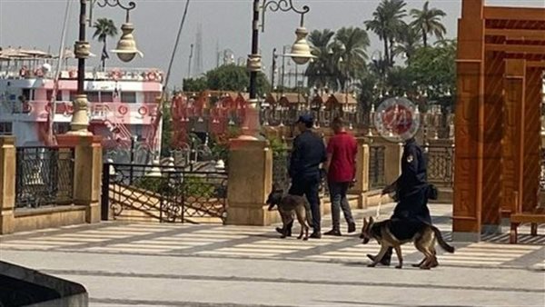 تمشيط كامل بالكلاب