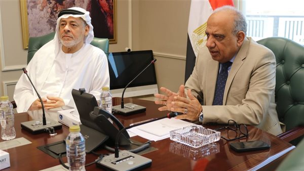 وزير الكهرباء