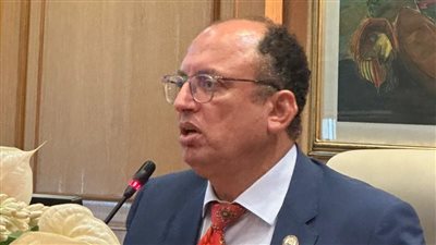 رئيس جامعة حلوان: الجامعات الحكومية تواجه تحديًا برحيل أعضاء هيئة التدريس إلى التعليم الخاص والأهلي