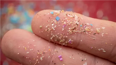 الجسيمات البلاستيكية الدقيقة تهديد جديد يصل إلى عمق العظام