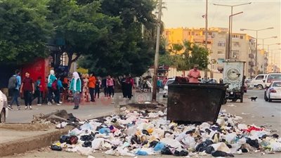 أولياء أمور يستغيثون بمحافظ بورسعيد: كلاب ضالة تهاجم الطلاب وتمزق الزي المدرسي والقمامة تحاصر المدارس مع بداية العام الدراسي| صور