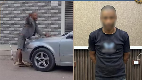 مشاجرة القليوبية