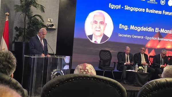 مجد الدين المنزلاوي