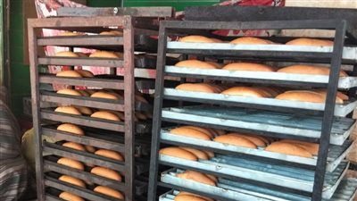 تحرير 16 مخالفة تموينية متنوعة خلال حملة مفاجئة بالقليوبية