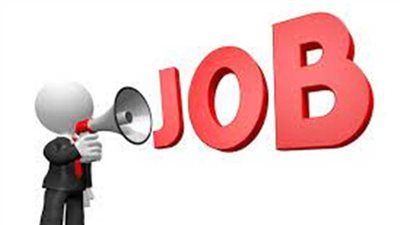 العمل تعلن توفر 40 فرصة عمل للسيدات بمدينة نصر.. اعرف موعد التقديم