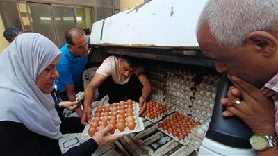 الكرتونة بـ 140 جنيهًا.. الزراعة تطلق 6 منافذ متنقلة لبيع البيض بأسعار مخفضة في القاهرة والجيزة