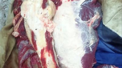 ضبط لحوم مذبوحة خارج المجزر وتحرير 343 محضرًا تموينيًا خلال حملات في أسيوط