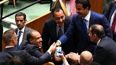 فرحة الوفد المصري بإعلان الرئيس الفرنسي الاعتراف بالدولة الفلسطينية | صور