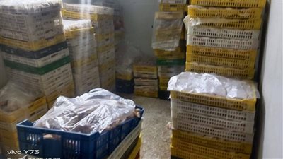 محافظ كفر الشيخ: ضبط 2.5 طن لحوم ودواجن غير صالحة للاستهلاك الآدمي