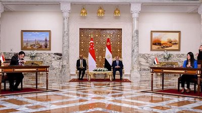  المشاط: مصر حريصة على تقوية العلاقات التجارية والاستثمارية والاقتصادية مع سنغافورة 