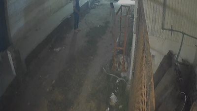 القبض على المتهم بارتكاب فعل فاضح بأحد شوارع جمصة.. والجهات المختصة تبدأ التحقيق