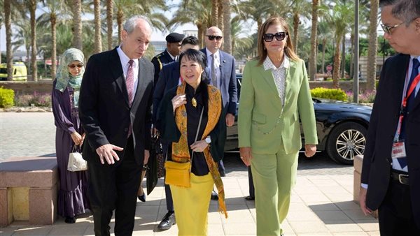 جانب من الاستقبال