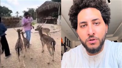 غزالة تهجم على شاب في ملاهٍ بأكتوبر