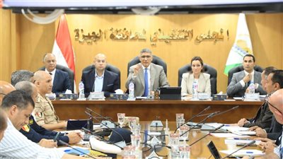 محافظ الجيزة يشدد على استكمال طلاء واجهات 482 مدرسة