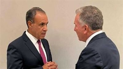 وزير الخارجية لـ المبعوث الأمريكي للشرق الأوسط: نعول على جهود ترامب لإنهاء حرب غزة مع بقاء الفلسطينيين على أرضهم