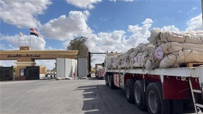 زاد العزة.. الهلال الأحمر المصري يُرسل 3400 طن مساعدات إنسانية إلى غزة