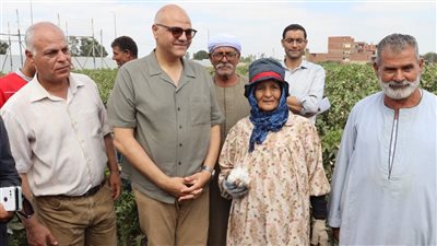 محافظ القليوبية يتفقد حصاد الذهب الأبيض بكفر شكر: القطن المصري علامة عالمية وندعم المزارعين
