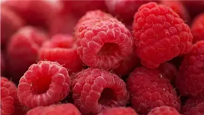 خبراء التغذية يكشفون عن 6 أطعمة لتحسين ذاكرة كبار السن