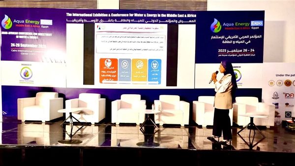 مها فهيم - رئيس الهيئة