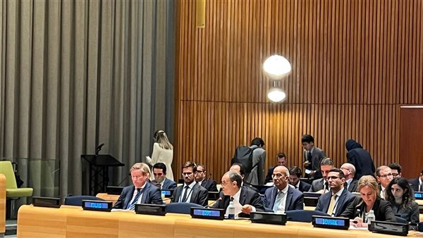 وزير الخارجية يشارك