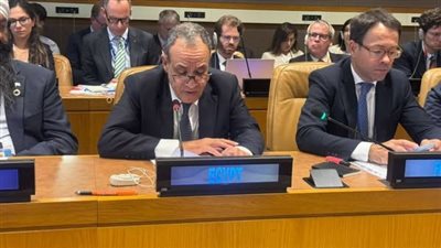 وزير الخارجية باجتماع لجنة التواصل بشأن فلسطين AHLC: نرفض أي محاولة لتهجير الفلسطينيين