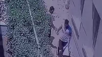 سمموا كلب الحراسة.. القبض على المتهمين بمحاولة سرقة فيلا السفيرة إيمان محرم بأكتوبر