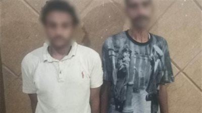 حبس شابين بتهمة سرقة هاتف وأموال فتاة بالجيزة