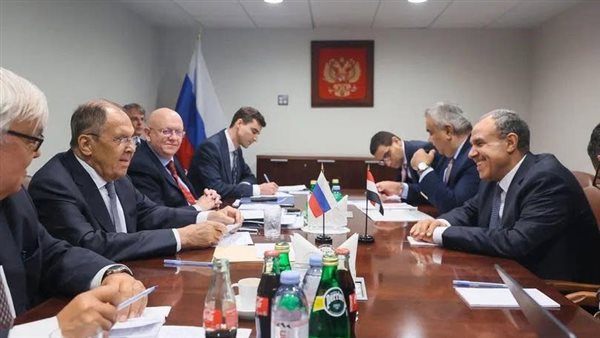 وزير الخارجية يلتقي