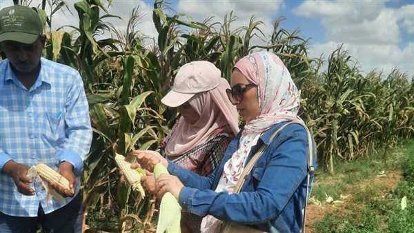 جولة تفقدية 