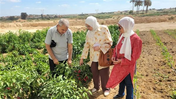 جولة تفقدية 