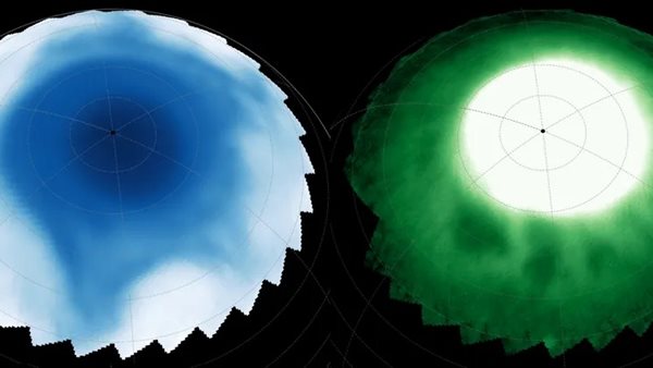 الصور التي التقطها