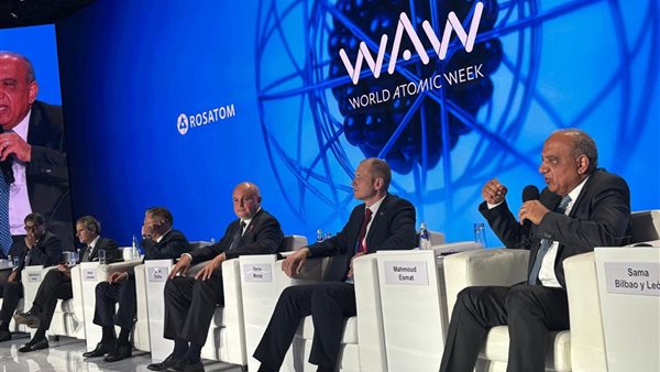 وزير الكهرباء