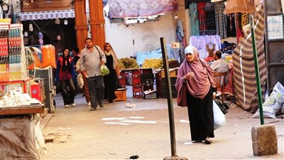 حملات موسعة لفتح الشوارع والأسواق الحيوية وتسهيل حركة المواطنين والسائحين بأسوان