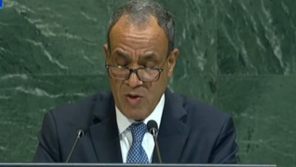 وزير الخارجية 