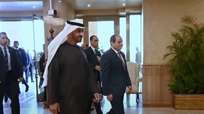 مصر والإمارات ترحبان بمبادرة ترامب لوقف الحرب في غزة 