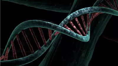 علماء الأحياء النباتية يكشفون خريطة جديدة للخلايا الجذعية قد تغيّر مسار الزراعة وإنتاج الطاقة المستدامة