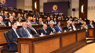 اجتماع ورسالة لأعضاء الشيوخ.. أول نشاط حزبي لرئيس حماة الوطن الجديد محمد عباس حلمي 