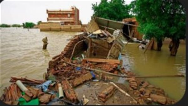 Sorry! Image not available at this time