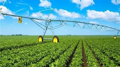 الانتهاء من زراعة 270 ألف فدان بالوادي الجديد ضمن المشروع الرئاسي لاستصلاح 1.5 مليون فدان